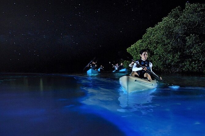 Bioluminescence Tour in Kayak in Holbox Island - A short paddle into Holbox darkness