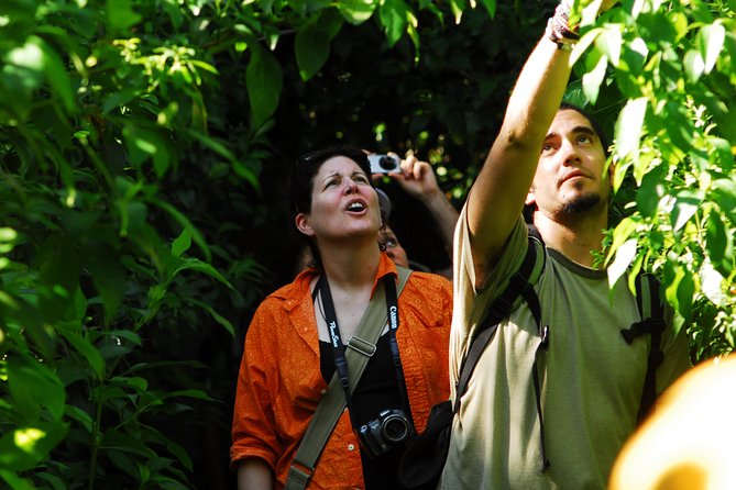 Birdwatching in Sian Ka´an Muyil from Tulum - Shared Group Tour - The optional lagoon, canal, and lazy river outing
