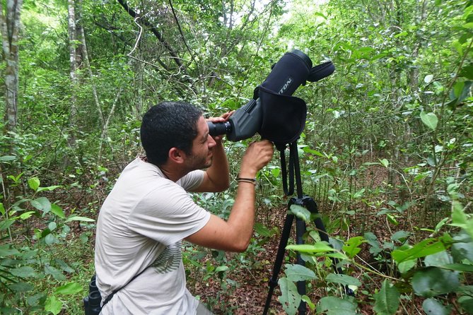 Birdwatching in Sian Ka´an Muyil from Tulum - Shared Group Tour - What the bird sightings can be like