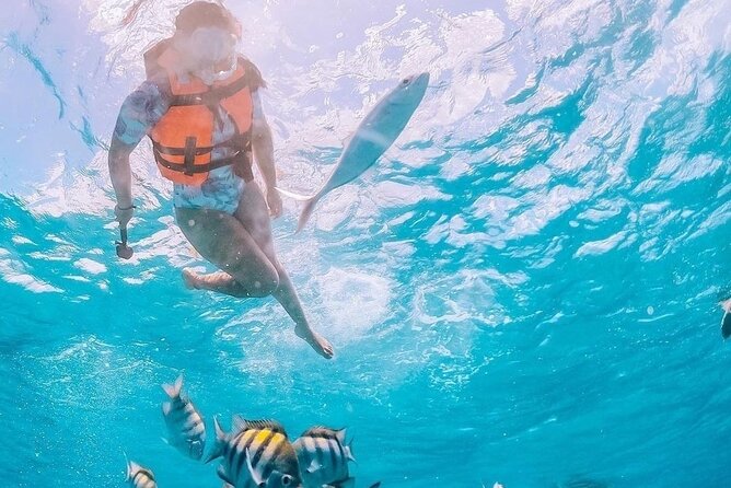 Boat and Snorkel Tour to 5 Islands of Los Arcos - Why Los Arcos makes a good half-day outing