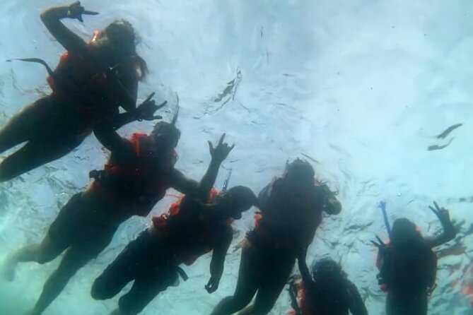 Boat and Snorkel Tour to 5 Islands of Los Arcos - Meeting in Zona Romántica and riding the local bus