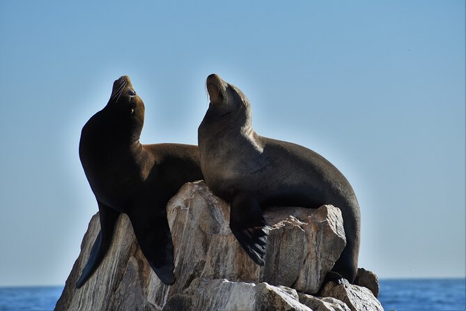 Boat ride to the Arch and Snorkel - Why this small boat trip works well in Cabo