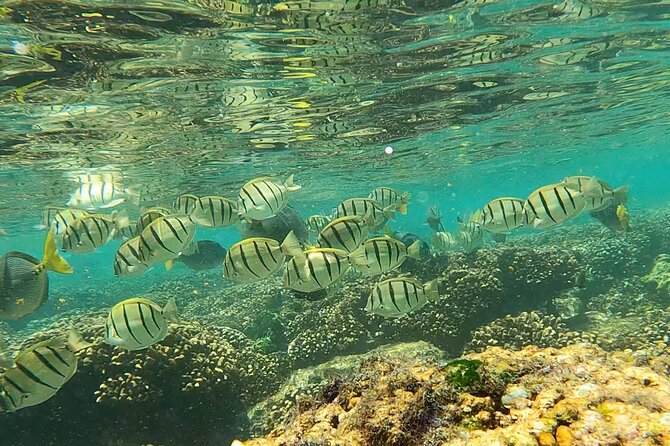 Boat ride to the Arch and Snorkel - Crew service and the small-group advantage