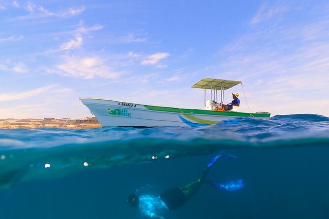 Boat ride to the Arch and Snorkel - Price, timing, and who gets the best value