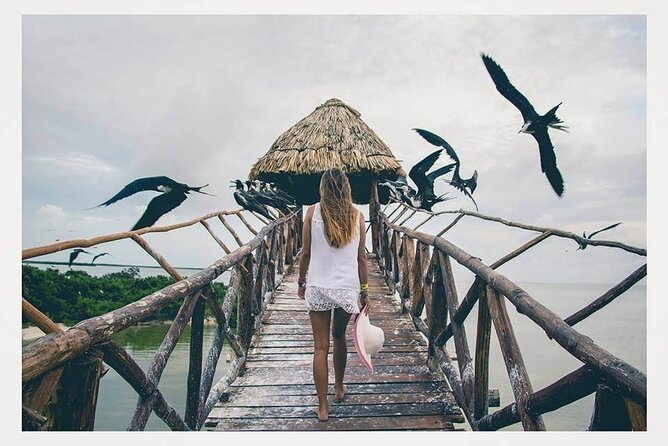 Boat Tour of Three Islands in Holbox with Transportation - What You Are Really Booking for $41.76