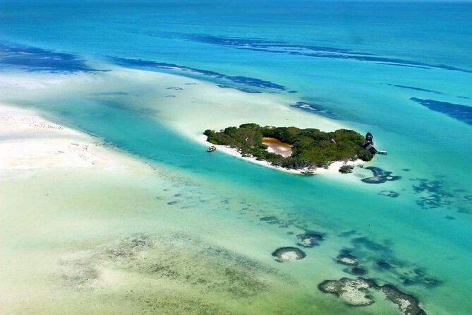 Boat Tour of Three Islands in Holbox with Transportation - Isla Pajaros and the Birdwatching Question