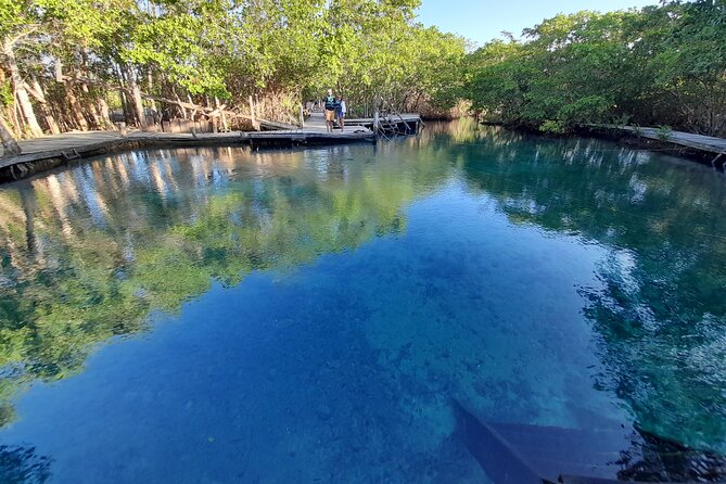 Boat Tour of Three Islands in Holbox with Transportation - The Guides Make the Difference