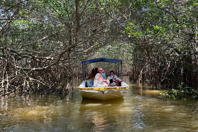 Boat tour through the mangroves of Celestún and Playa from Merida - Key details before you book