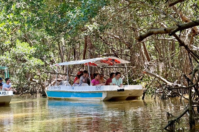 Boat tour through the mangroves of Celestún and Playa from Merida - Three hours at La Ramada de la Tía Candi