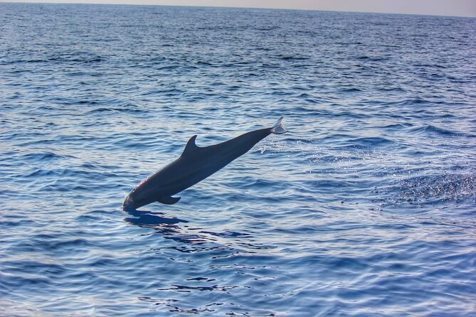 Boat Trip to See Marine Life in Puerto Escondido - Cruising past Puerto Escondido’s bays