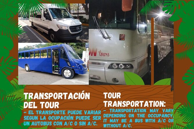 Butterflies, City tour, tequila, and beach (kids free) - The jewelry workshop: local craft or built-in sales stop?