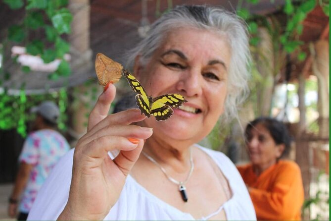 Butterflies, City tour, tequila, and beach (kids free) - Punta Negra and the coastal ride south