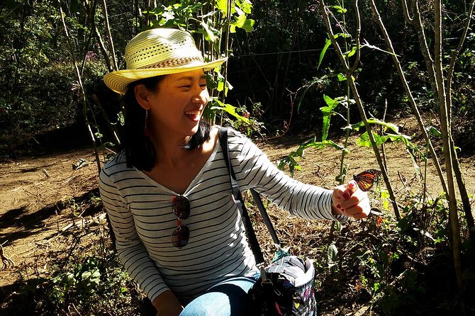 Butterfly Monarch Tour from Mexico City - How the long return affects the value