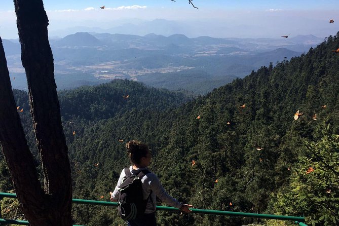 Butterfly Monarch Tour from Mexico City - Arriving at Sierra Chincua