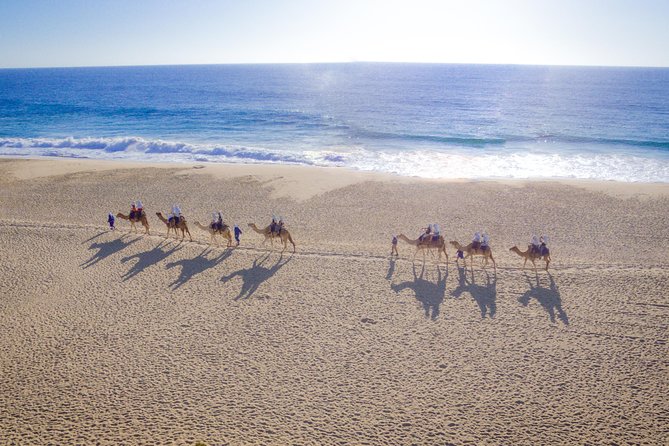 Cabo Beach Camel Ride, Mexican Buffet and Tequila Tasting - Key points at a glance