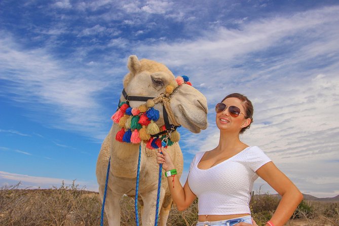 Cabo Beach Camel Ride, Mexican Buffet and Tequila Tasting - From your Los Cabos hotel to the Pacific coast