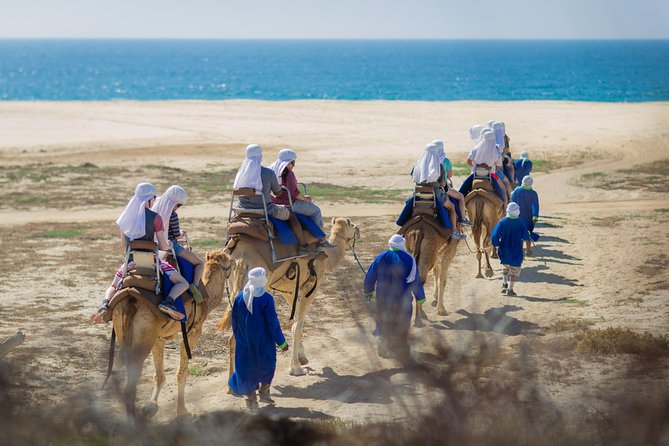 Cabo Beach Camel Ride, Mexican Buffet and Tequila Tasting - Lunch with the ocean in view