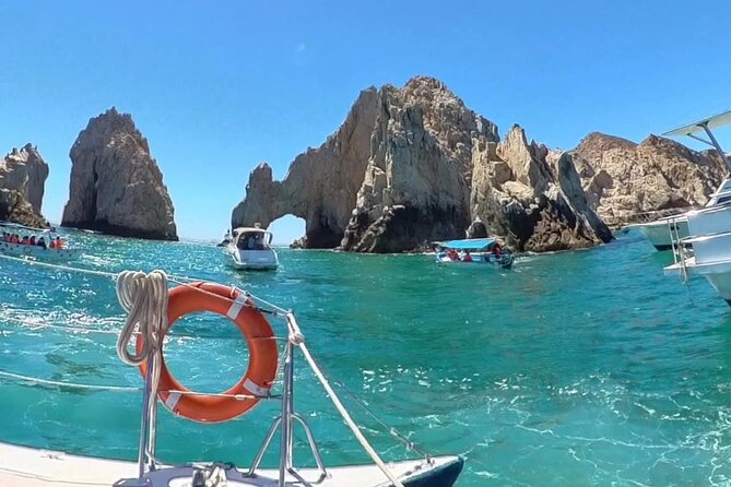 Cabo Blue Snorkeling Cruise, Open Bar and Lunch in Cabo San Lucas - Whale watching from December through April