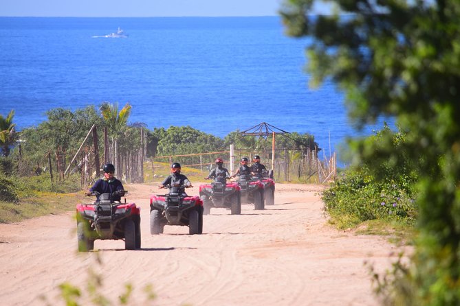 Cabo Candelaria Village Adventure + Tequila Tasting - Key points before you book