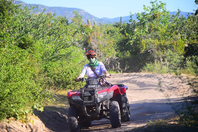 Cabo Candelaria Village Adventure + Tequila Tasting - La Candelaria brings the human story