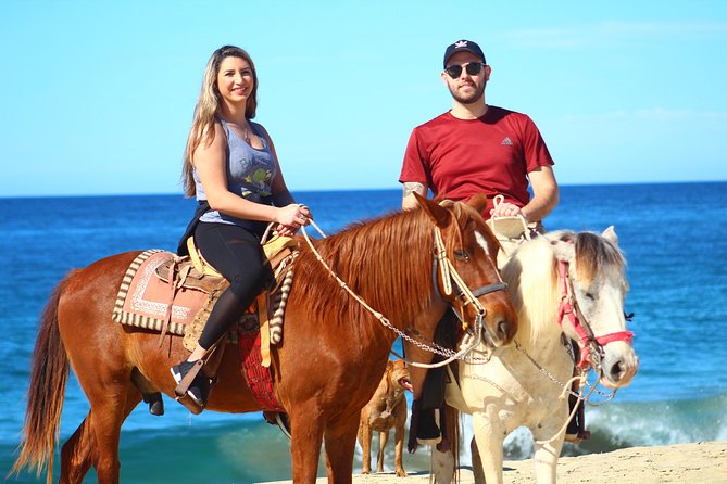 Cabo Desert Off-Road & Beach Horseback Combo and Tequila Tasting - Hotel pickup, the first part of the adventure
