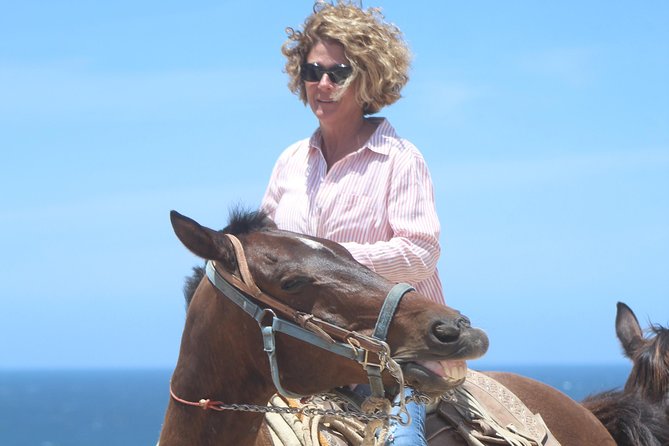 Cabo Desert Off-Road & Beach Horseback Combo and Tequila Tasting - Check-in, waiting, and the busy activity park