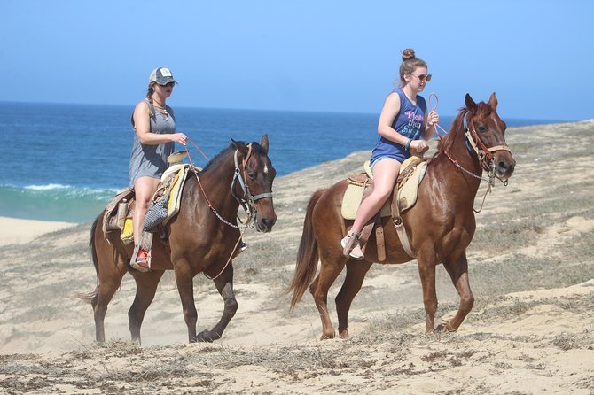 Cabo Desert Off-Road & Beach Horseback Combo and Tequila Tasting - Heat, fitness, and what to bring
