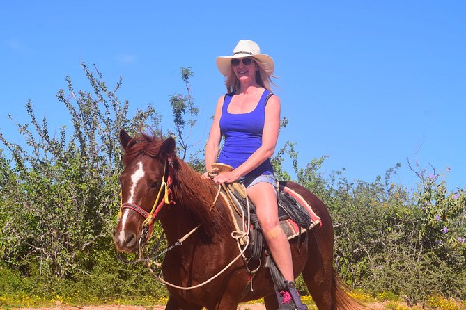 Cabo Desert Off-Road & Beach Horseback Combo and Tequila Tasting - Which guide and tour style should you request?