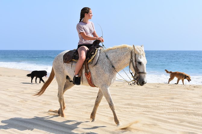 Cabo Desert Off-Road & Beach Horseback Combo and Tequila Tasting - ATV trails through desert and mountain country