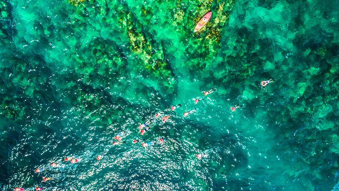 Cabo Escape Breakfast Snorkel Cruise - How the boat ride compares with the snorkeling