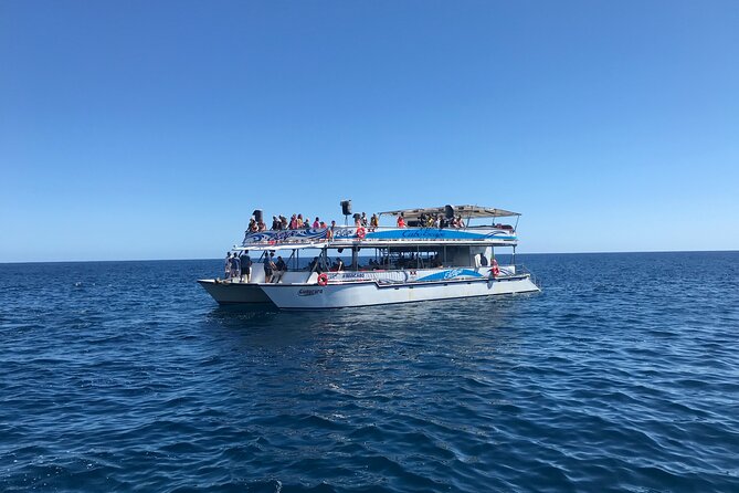 Cabo Escape Snorkel Fun Cruise - Who will enjoy this Cabo cruise most?