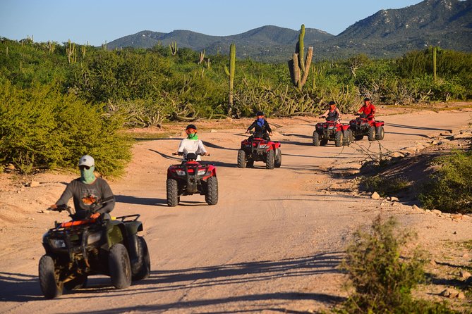 Cabo Migrino Beach and Desert ATV Tour plus Tequila Tasting - The real cost is closer to $100 before extras