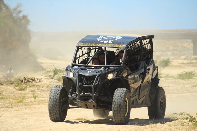 Cabo Migrino Beach & Desert Tour (Quad UTV) - Beach scenery, cacti, and local plants