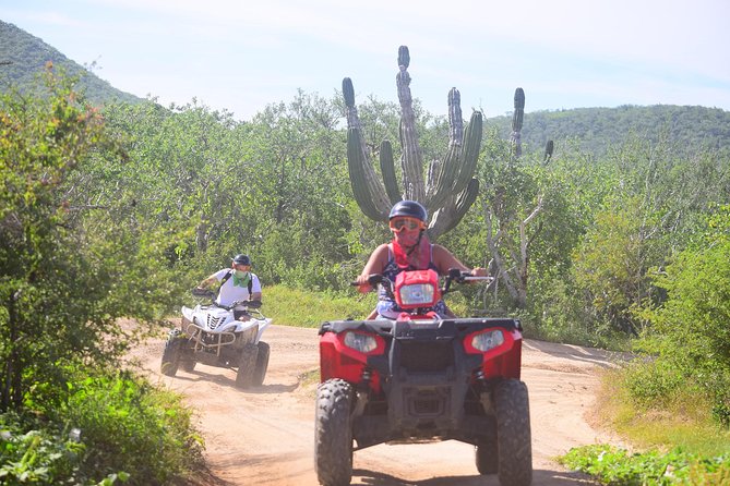 Cabo Original Real Baja 1000 Tour (Single ATV) - Key points before you book
