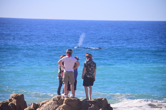 Cabo Original Real Baja 1000 Tour (Single ATV) - Finishing along the beach
