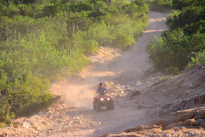 Cabo Original Real Baja 1000 Tour (Single ATV) - Guides who can shape the ride