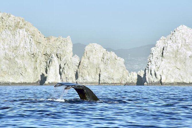 Cabo Private Transportation to Cabo - Why a private Cabo airport transfer helps