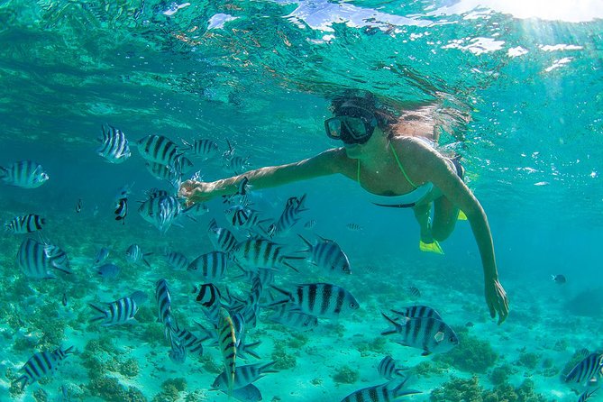 Cabo Pulmo National Park Snorkel Expedition from Cabo San Lucas - The two-hour drive from Cabo to Cabo Pulmo