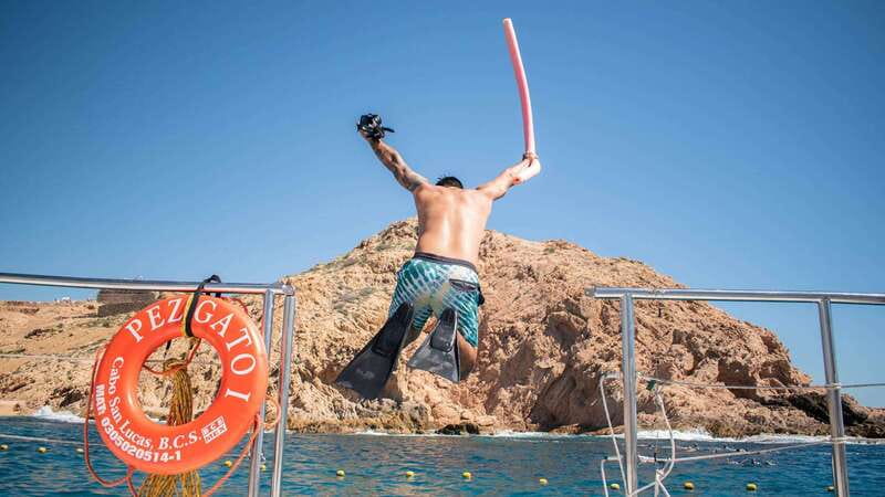 Cabo San Lucas: 4-Hour Snorkeling Cruise with Open Bar - Key things to know before booking