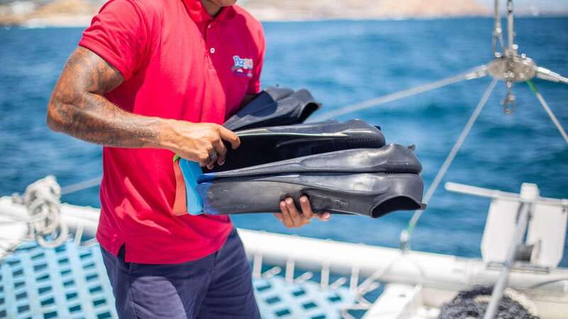 Cabo San Lucas: 4-Hour Snorkeling Cruise with Open Bar - Lunch, margaritas, and time to slow down