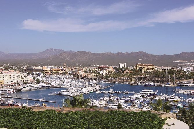 Cabo San Lucas and San Jose del Cabo Sightseeing Tour - Artisan workshops, tequila, and the shopping question