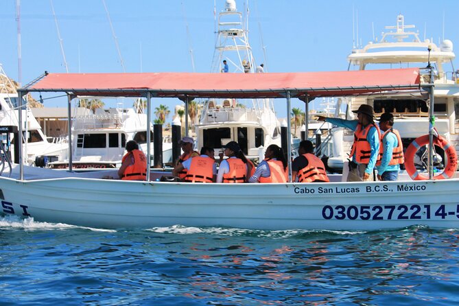 Cabo San Lucas Arc Group Tour in Glass Bottom Boat - Divorce Beach and the Pacific side