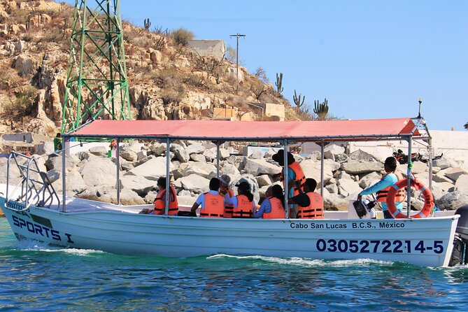 Cabo San Lucas Arc Group Tour in Glass Bottom Boat - What the glass-bottom feature is really like