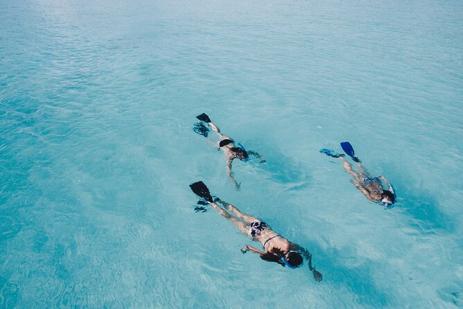 Cabo San Lucas Arch Tour and we go down to Playa del Amor - Snorkeling, fish, and what is not included