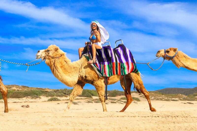 Cabo San Lucas: Camel Ride & Off-Road UTV Combo Adventure - Booking flexibility and practical planning