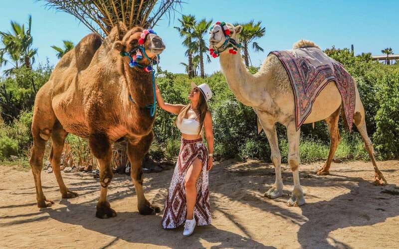 Cabo San Lucas: Camel Ride & Off-Road UTV Combo Adventure - Switching from camel pace to UTV power