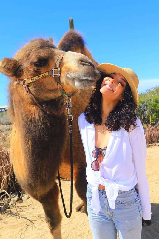 Cabo San Lucas: Camel Ride & Off-Road UTV Combo Adventure - Why the guide can make or break the outing