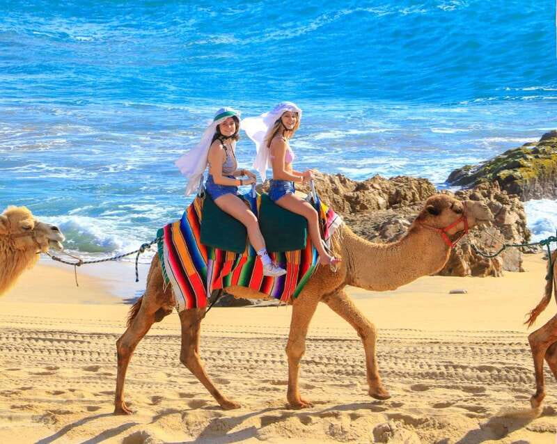 Cabo San Lucas: Camel Ride & Off-Road UTV Combo Adventure - Timing, group size, and the private tour question