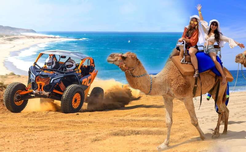 Cabo San Lucas: Camel Ride & Off-Road UTV Combo Adventure - A quiet camel ride along Migriño Beach