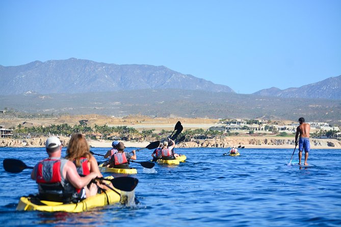 Cabo San Lucas Glass Bottom Kayak Tour and Snorkel at Two Bays - Who should book this morning on the water?
